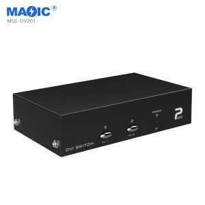 DVI Switch 2 in 1